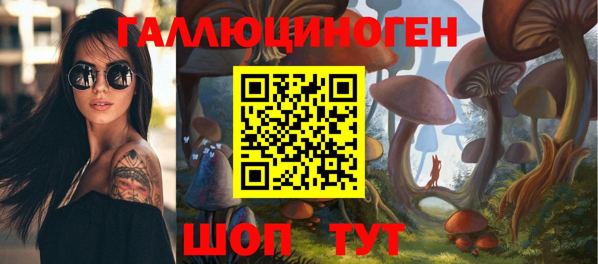 Псилоцибиновые грибы Cubensis  Вход с VPN  Галлюциногенные грибы мухоморы  Новочеркасск 